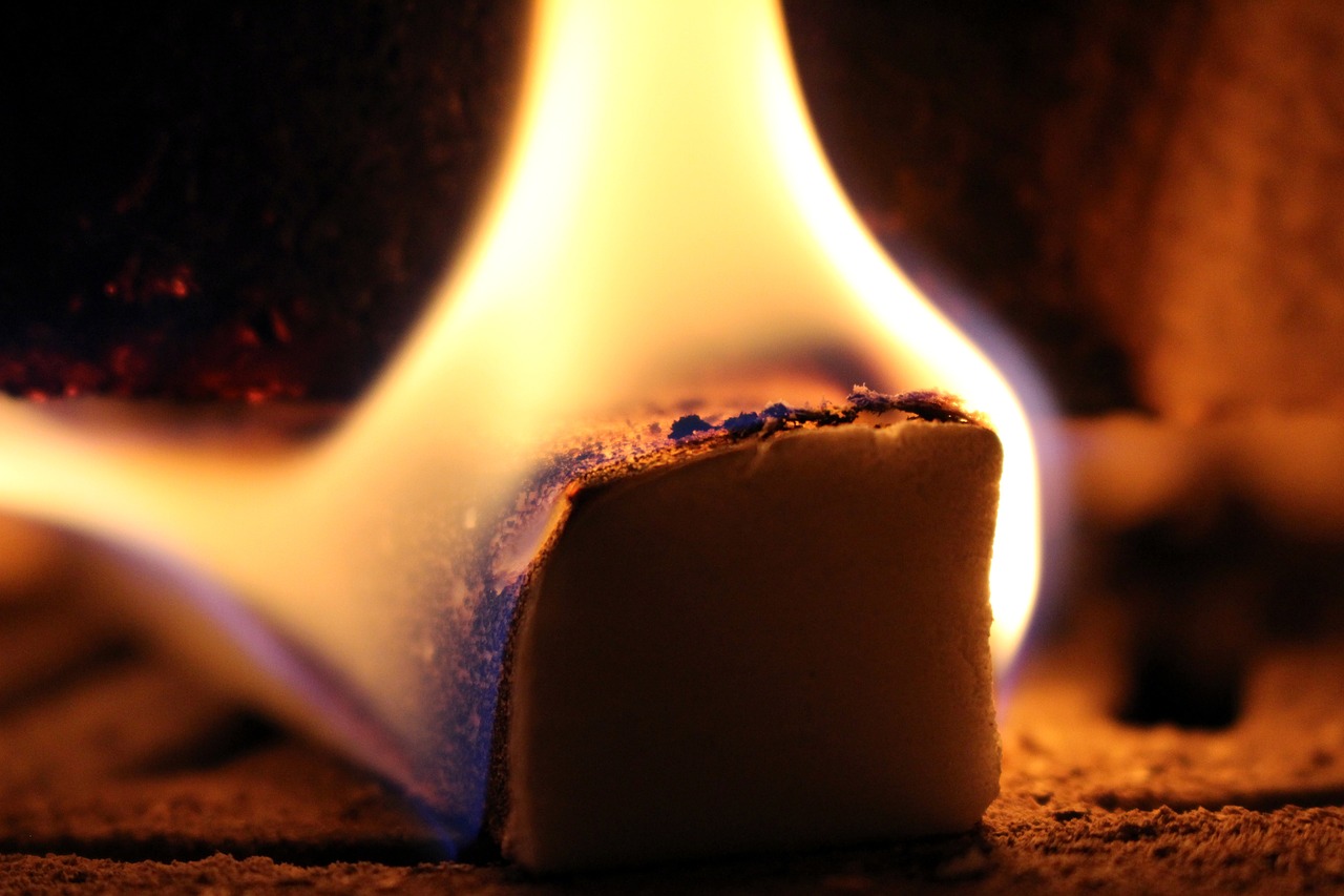 猎枭最新动态揭秘,揭开神秘面纱下的真相