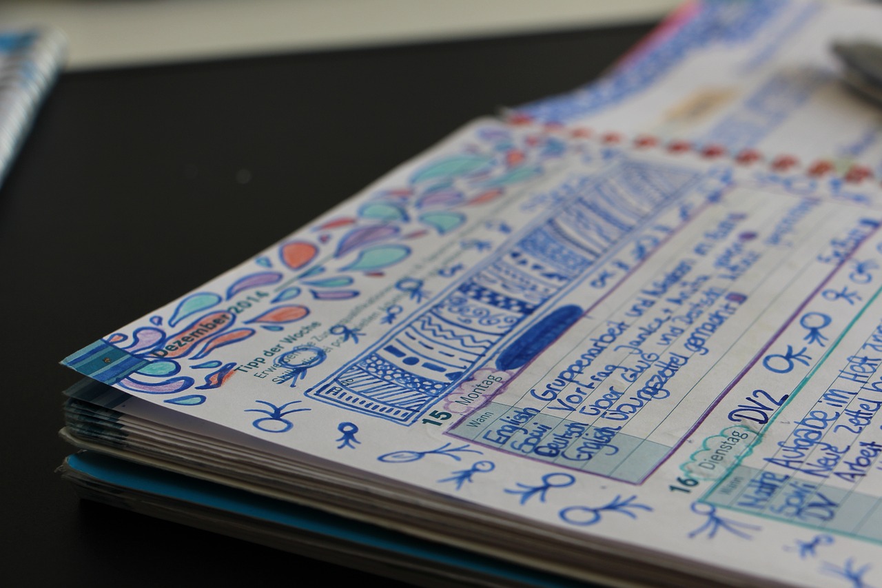 陇南文县最新动态全面解读