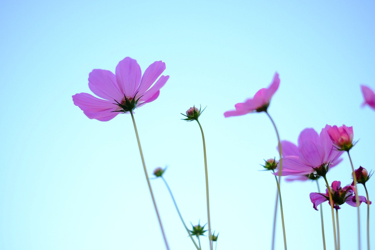 湖南省疫情最新通报更新,最新动态与数据概览