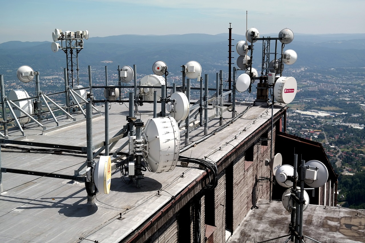 今日全国猪价行情分析与最新动态报告