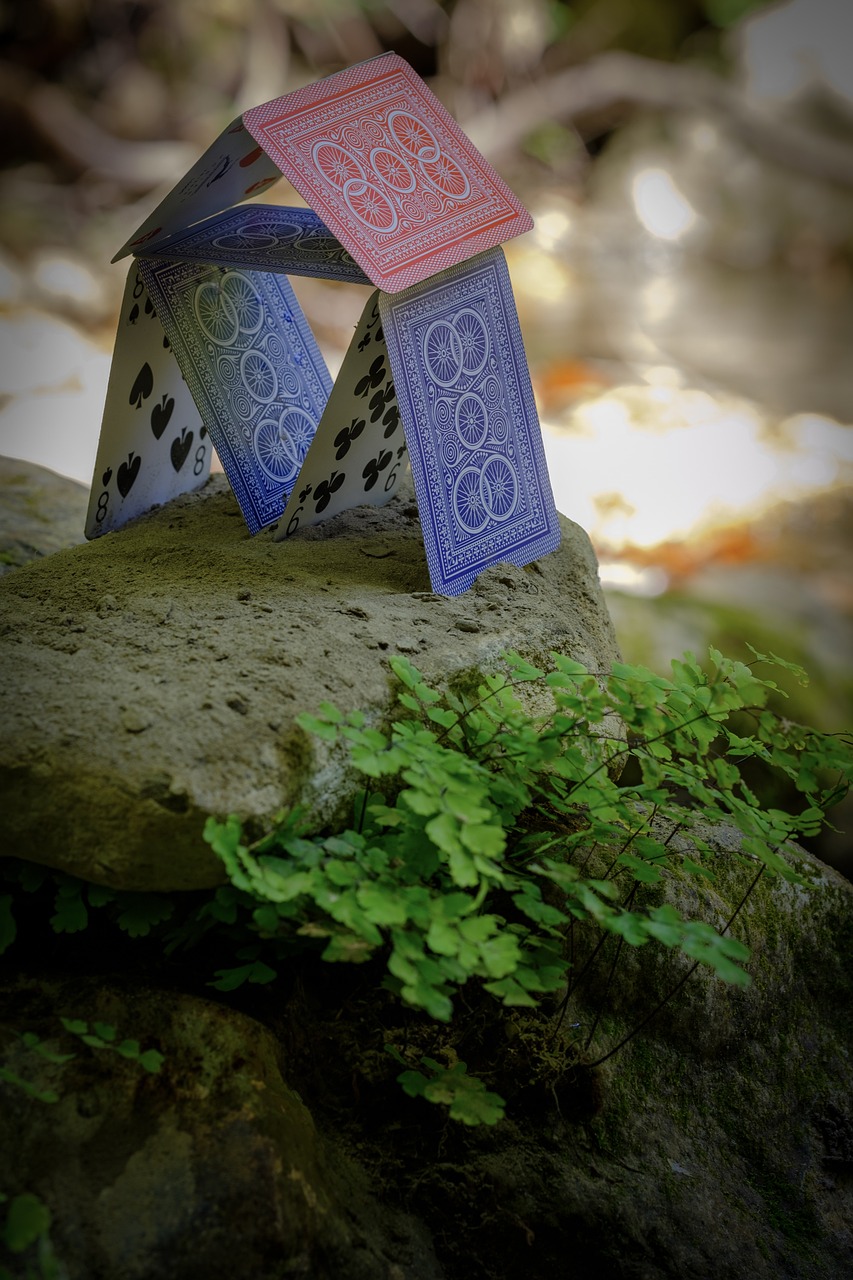 老婆大人有点拽,最新动态与揭秘