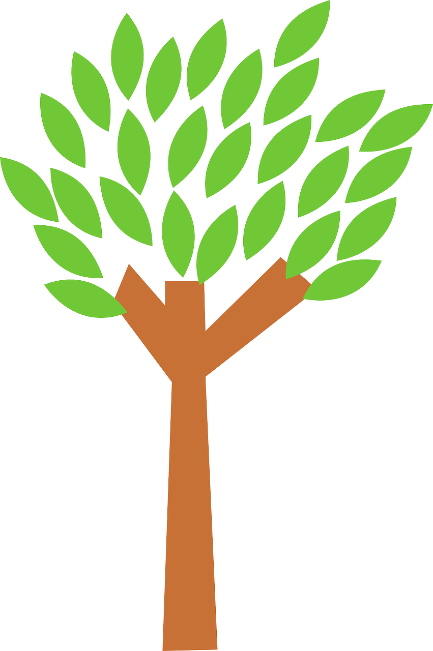 趣树引领数字生态新篇章的最新动态