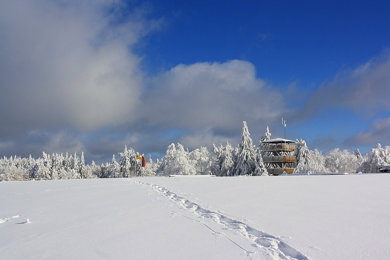 鞍重股份积极布局未来,展现强劲发展势头,最新动态速递