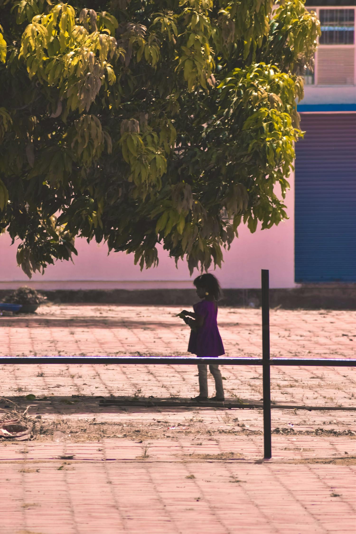 印度与中国边境最新动态及其影响