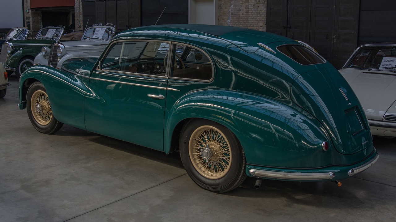 曾子丹展现多才多艺魅力与不断前行步伐的最新动态