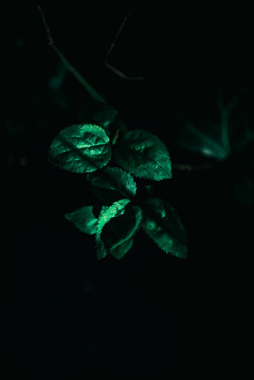 杯别 第29页