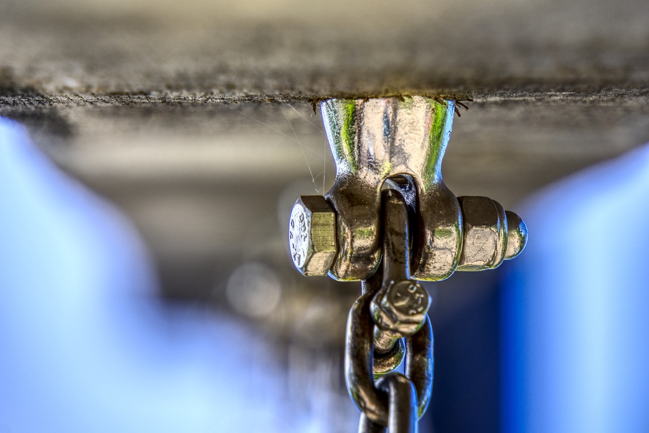 海贼王阿金最新动态,深度解析与最新消息