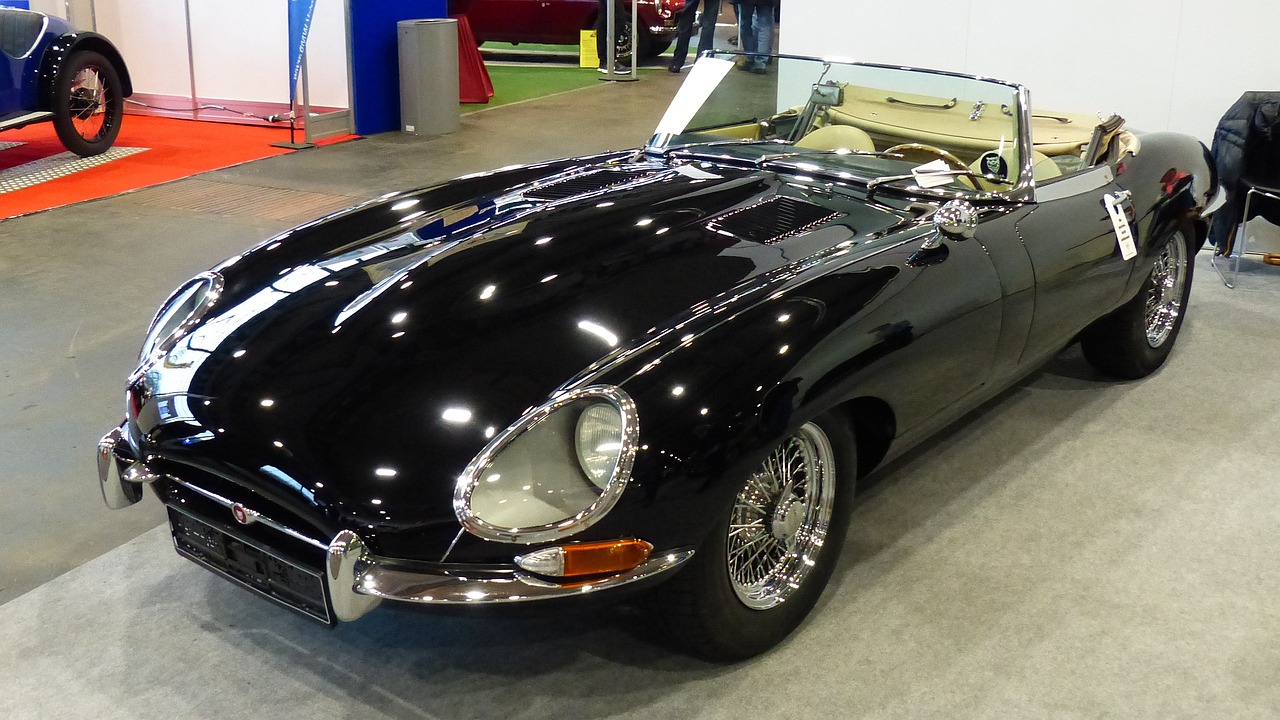 揭秘黄金眼叶寒的最新动态,成长之路与未来展望