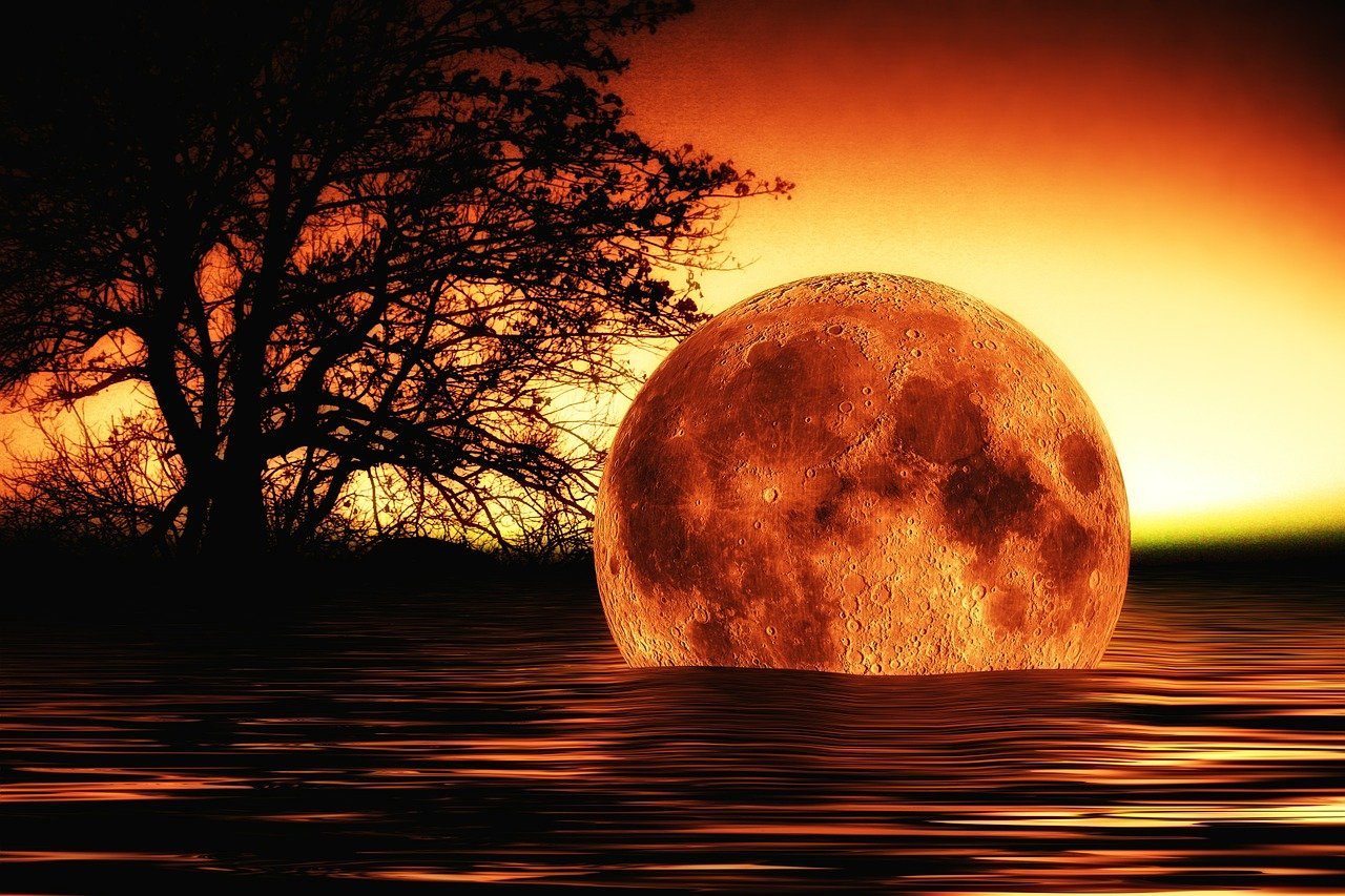 暗珠胎结最新章节,奇幻世界的未知探索