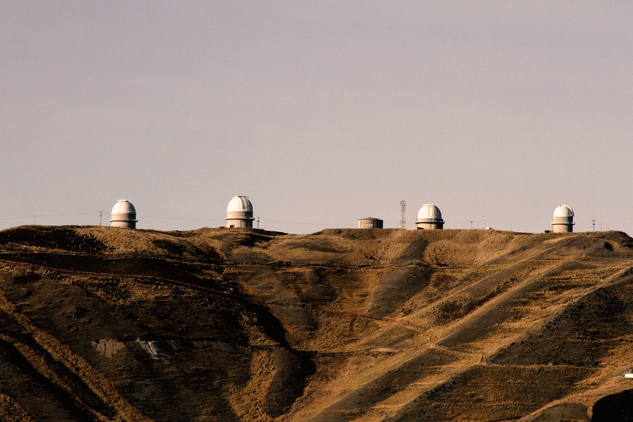 通勤装最新动态,时尚与舒适并重的发展趋势