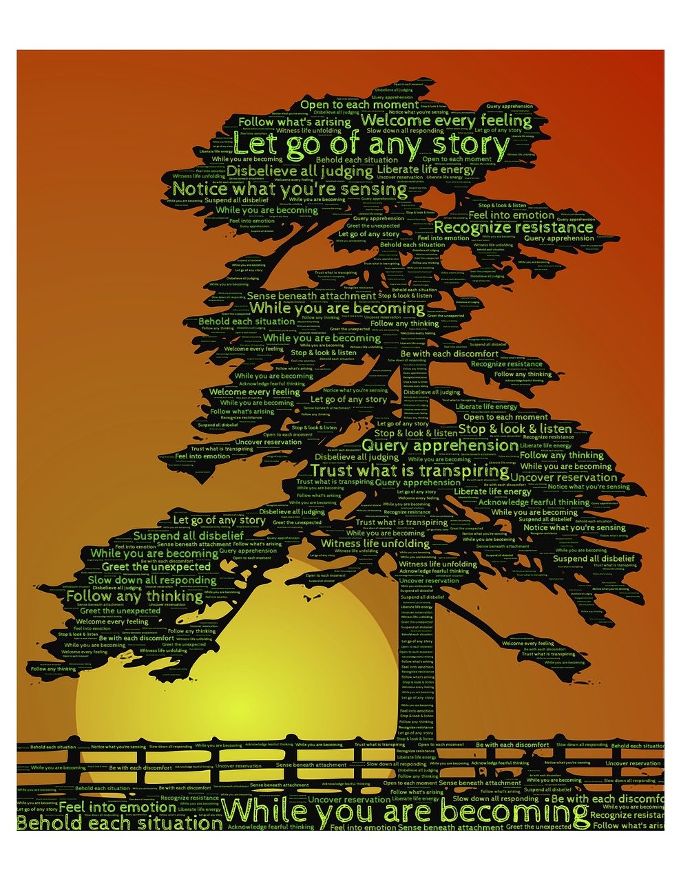 蜗牛最新密令12月特别版,探索未知世界的神秘指令