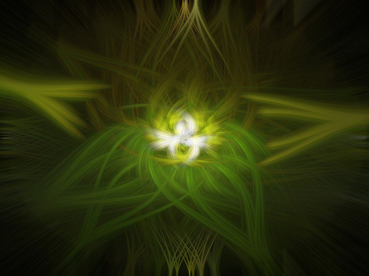 特朗普大选最新动态,未来之路何去何从