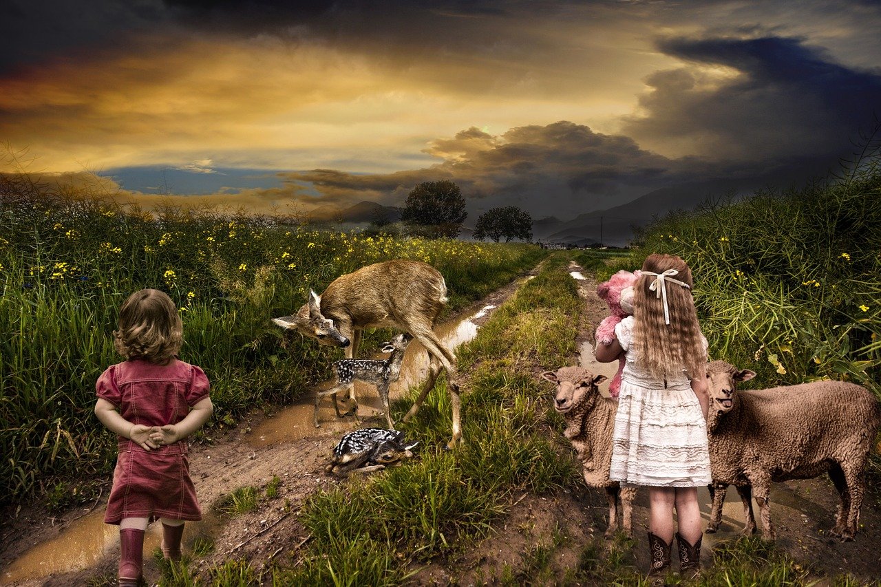 Q版最新网游,探索全新世界之旅的独特魅力