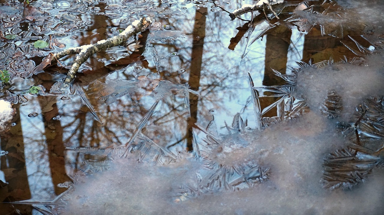 华为智能芯片引领科技前沿，塑造未来智能生态的新动态