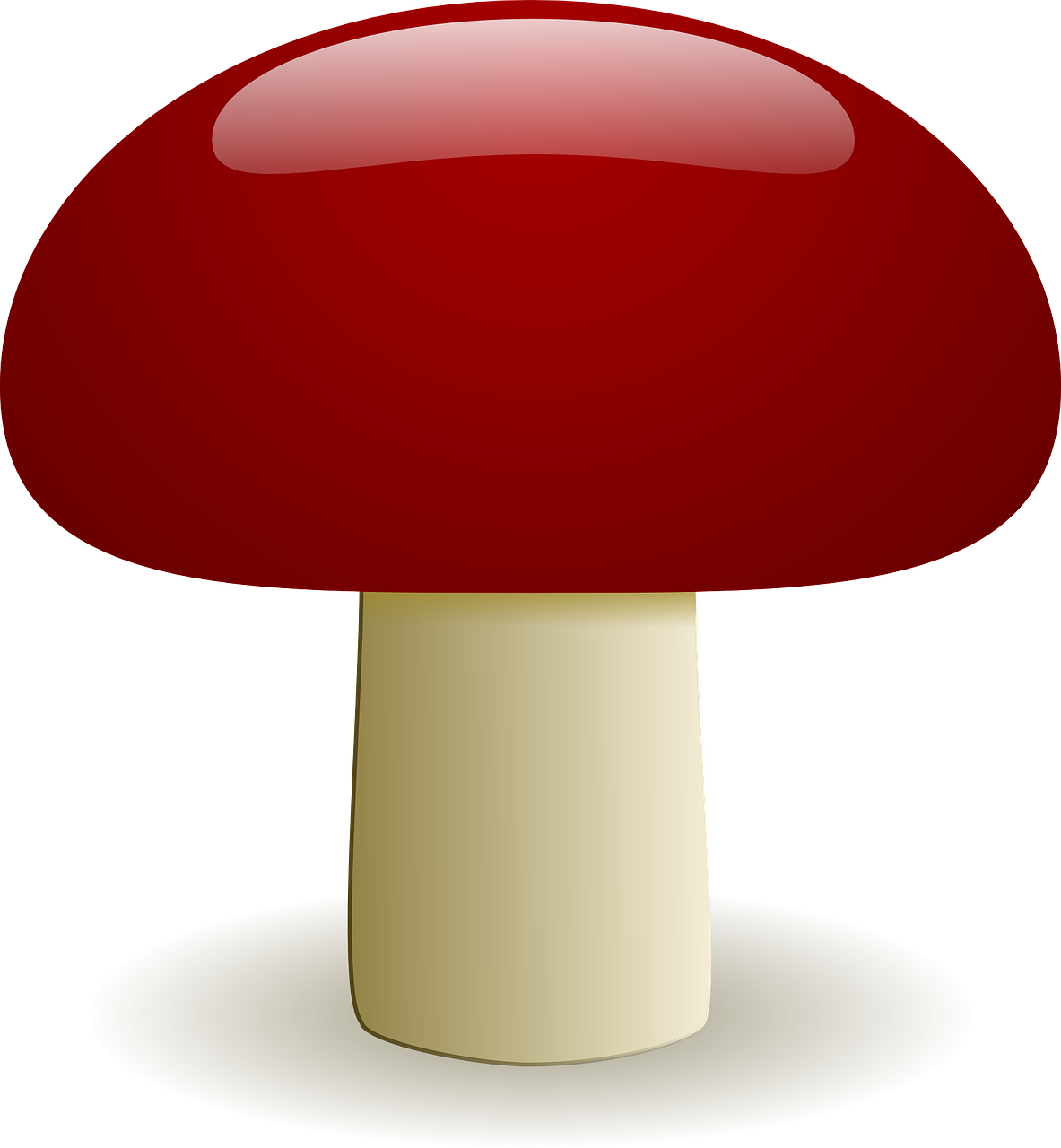 九号台风美莎克最新动态更新