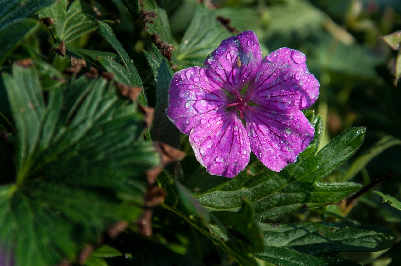 尹相杰与于文华,音乐界璀璨之星依旧闪耀的最新动态
