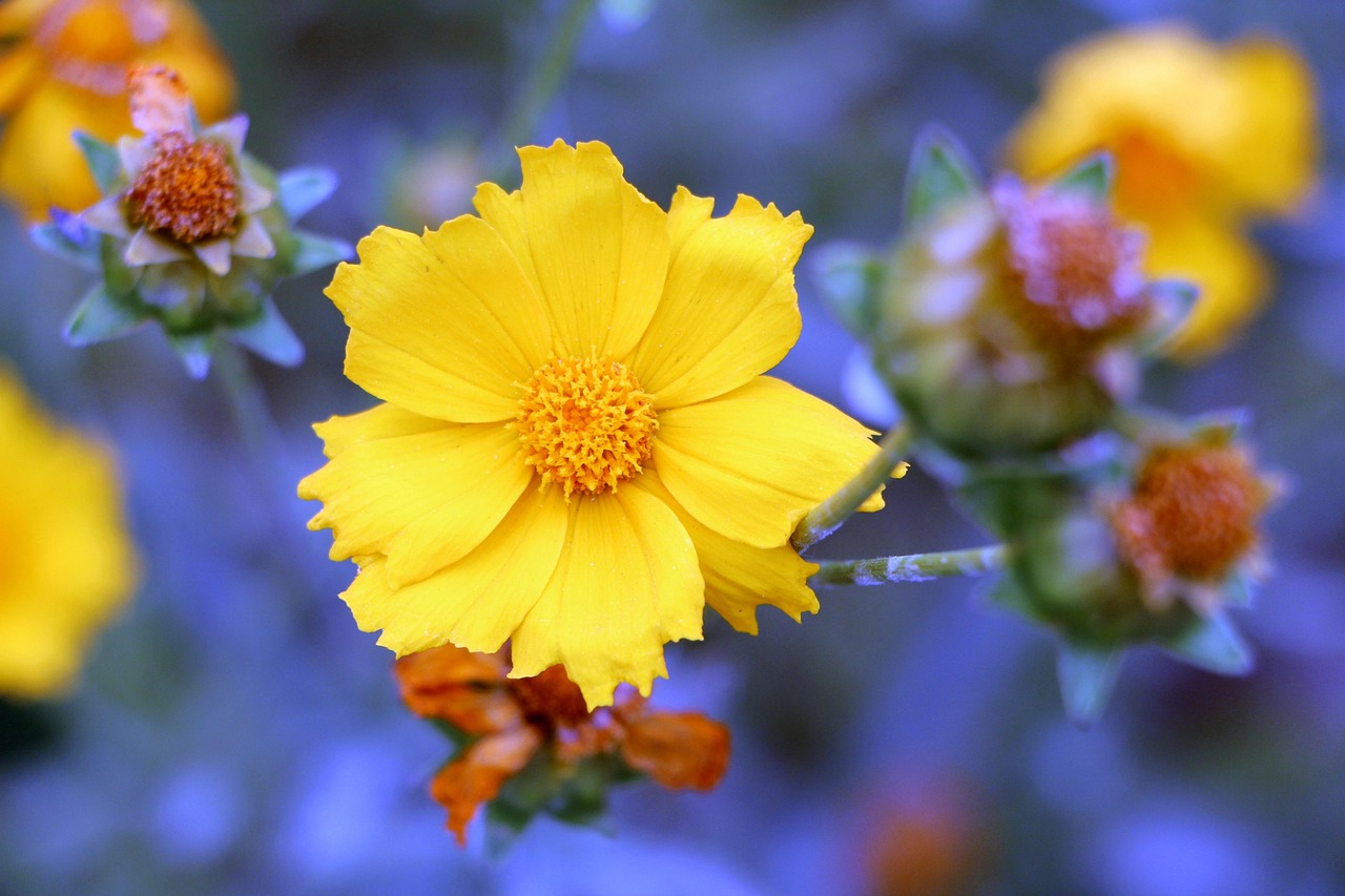 尹相杰与于文华,音乐界璀璨之星依旧闪耀的最新动态