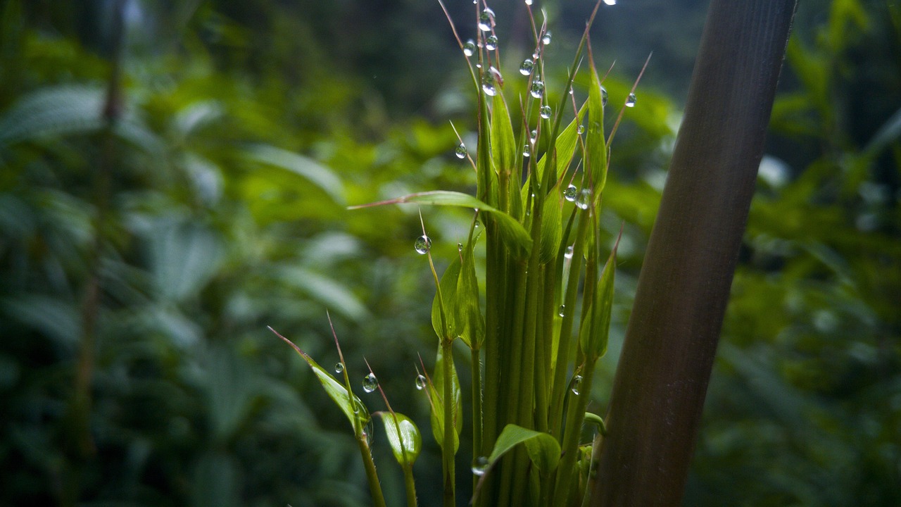 濮阳高铁站最新状况概览,最新动态与发展概述