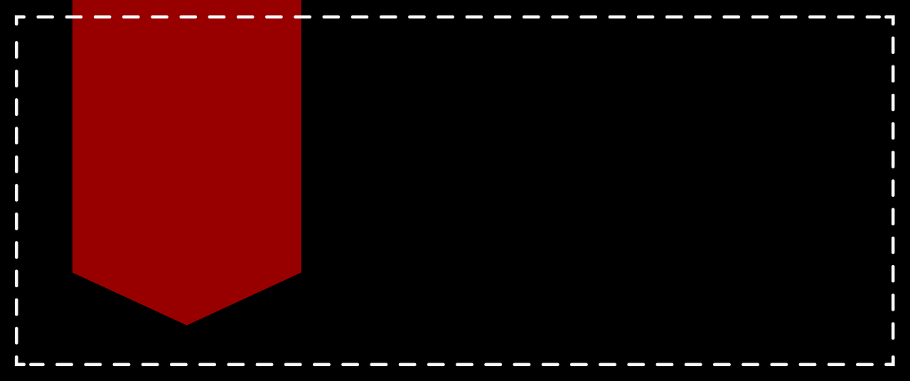 全国大葱最新价格行情分析与趋势预测