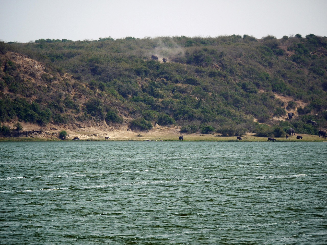 科创园最新动态,科技创新新高地崛起!