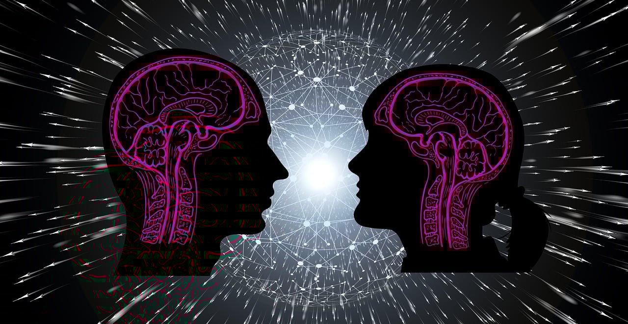 王寿挺揭秘,多重身份与最新动态更新