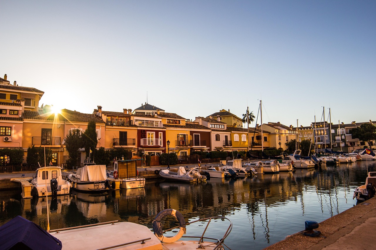 上海疫情最新动态,城市坚韧,共克时艰