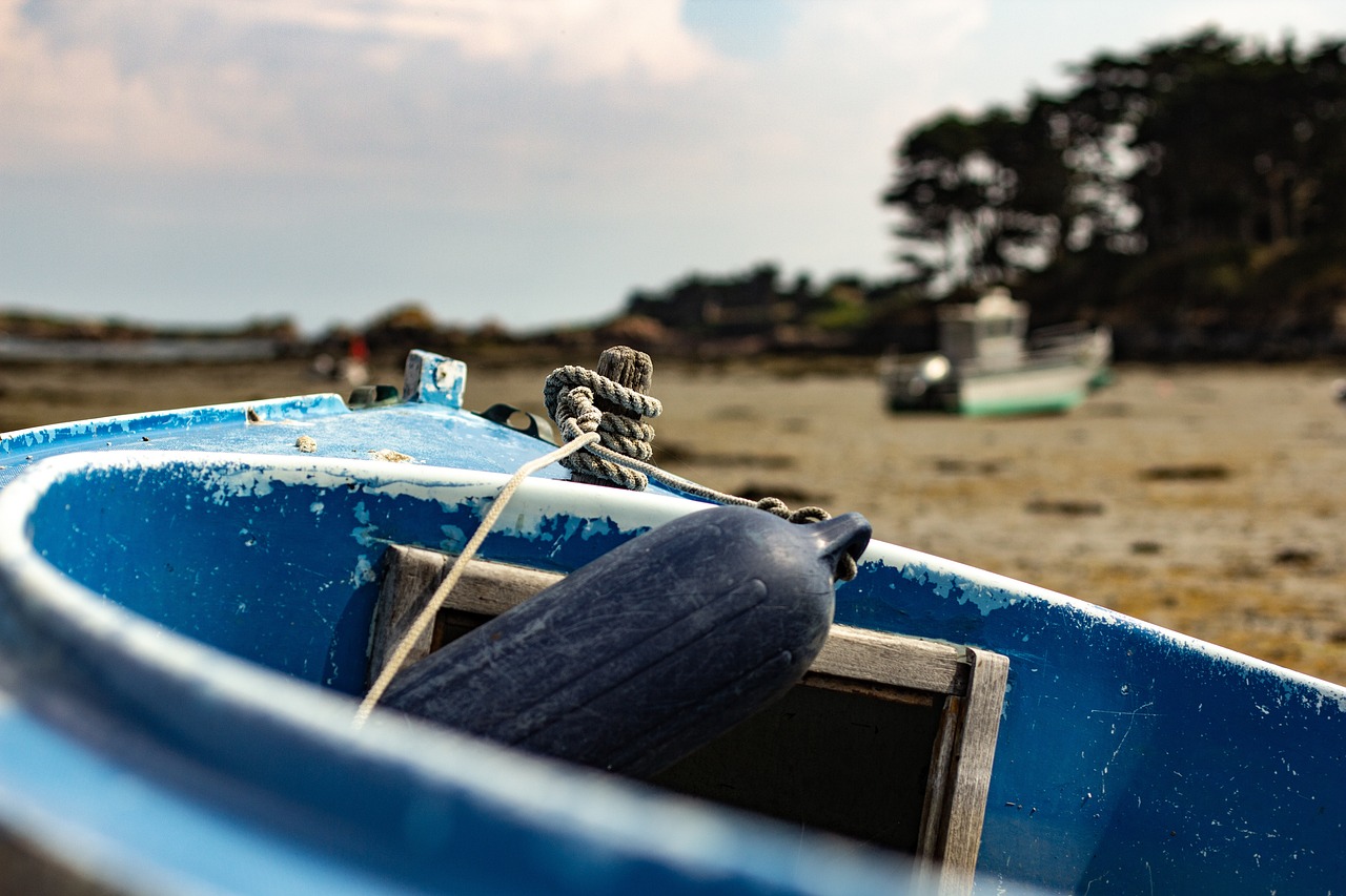 辽宁疫情防控最新动态,全面解读辽宁防控最新消息