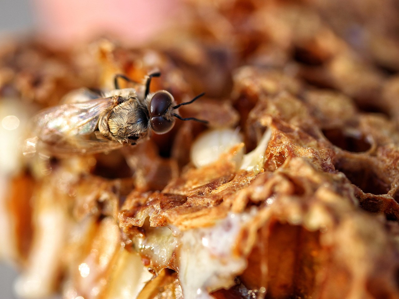 铝业最新动态,引领行业变革的关键消息出炉!
