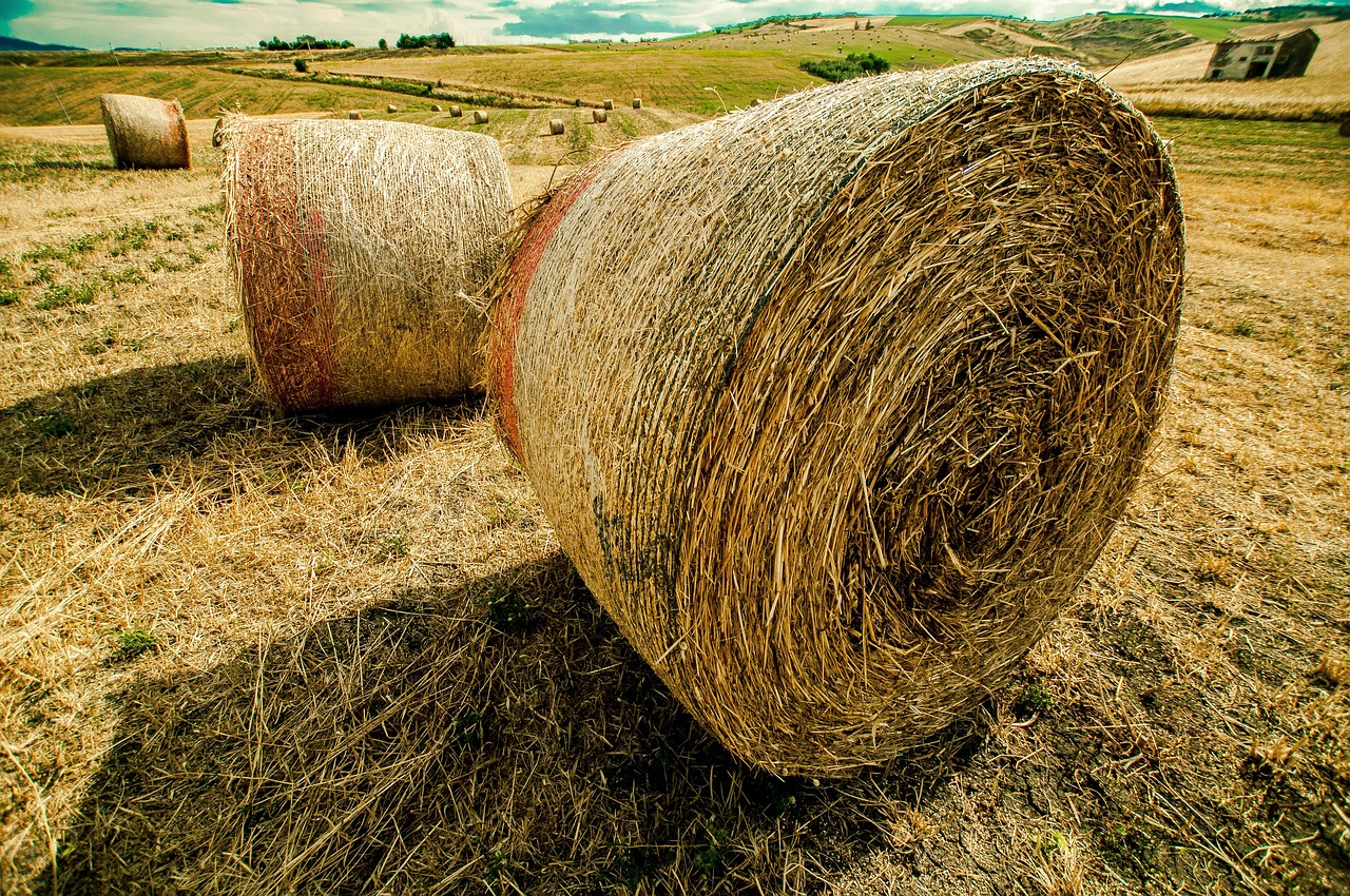 粤丰最新动态,引领行业变革,塑造未来蓝图新篇章