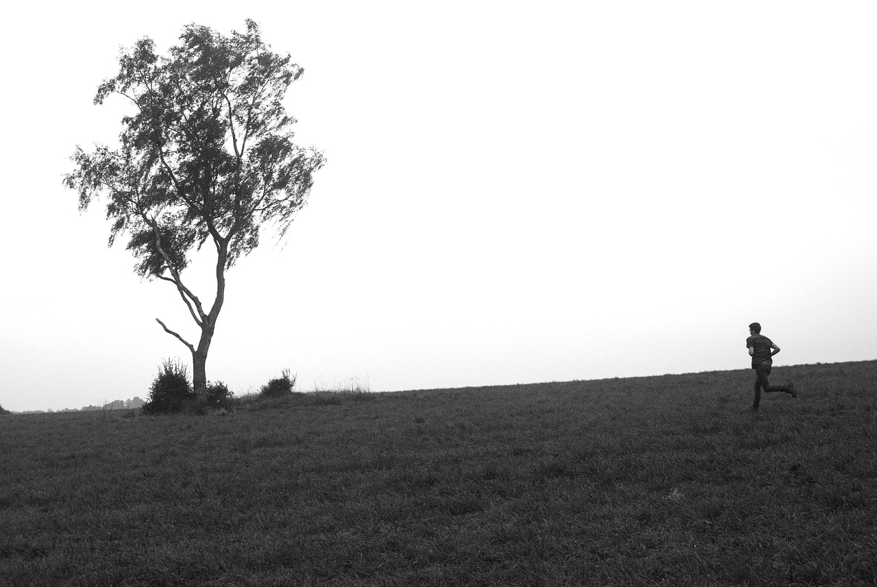 云账本更新资讯,探索前沿技术与实时更新的力量新动态