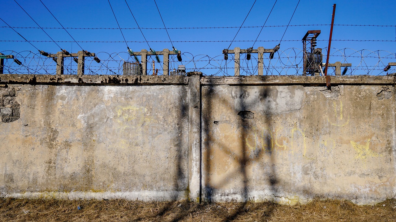 康纳最新动态,科技前沿的引领者与多元才华的展现