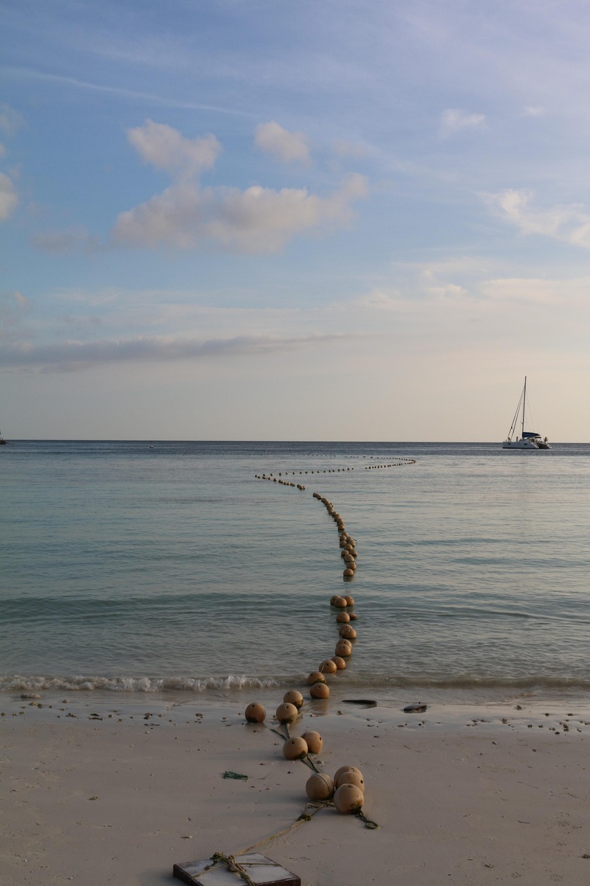 昭通马吉林最新动态曝光,揭秘未来发展趋势