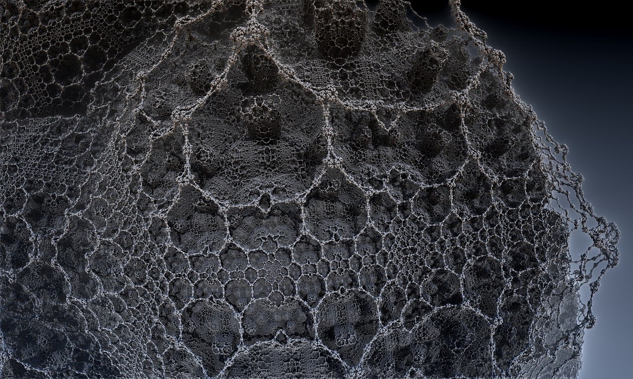 三月张默最新动态,开启新篇章