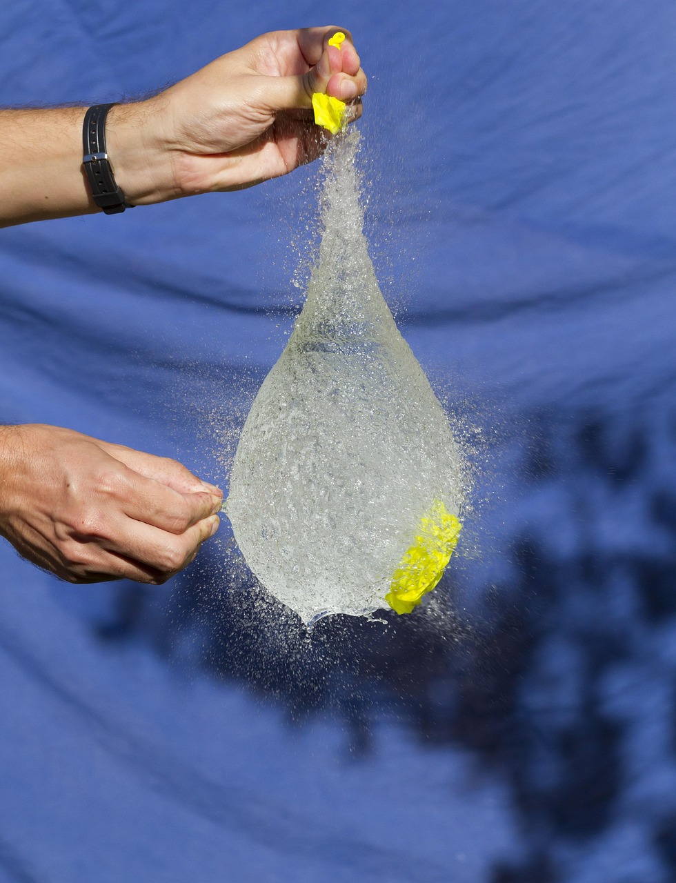 揭秘三月美金最新动态,市场走势、影响因素及前景展望