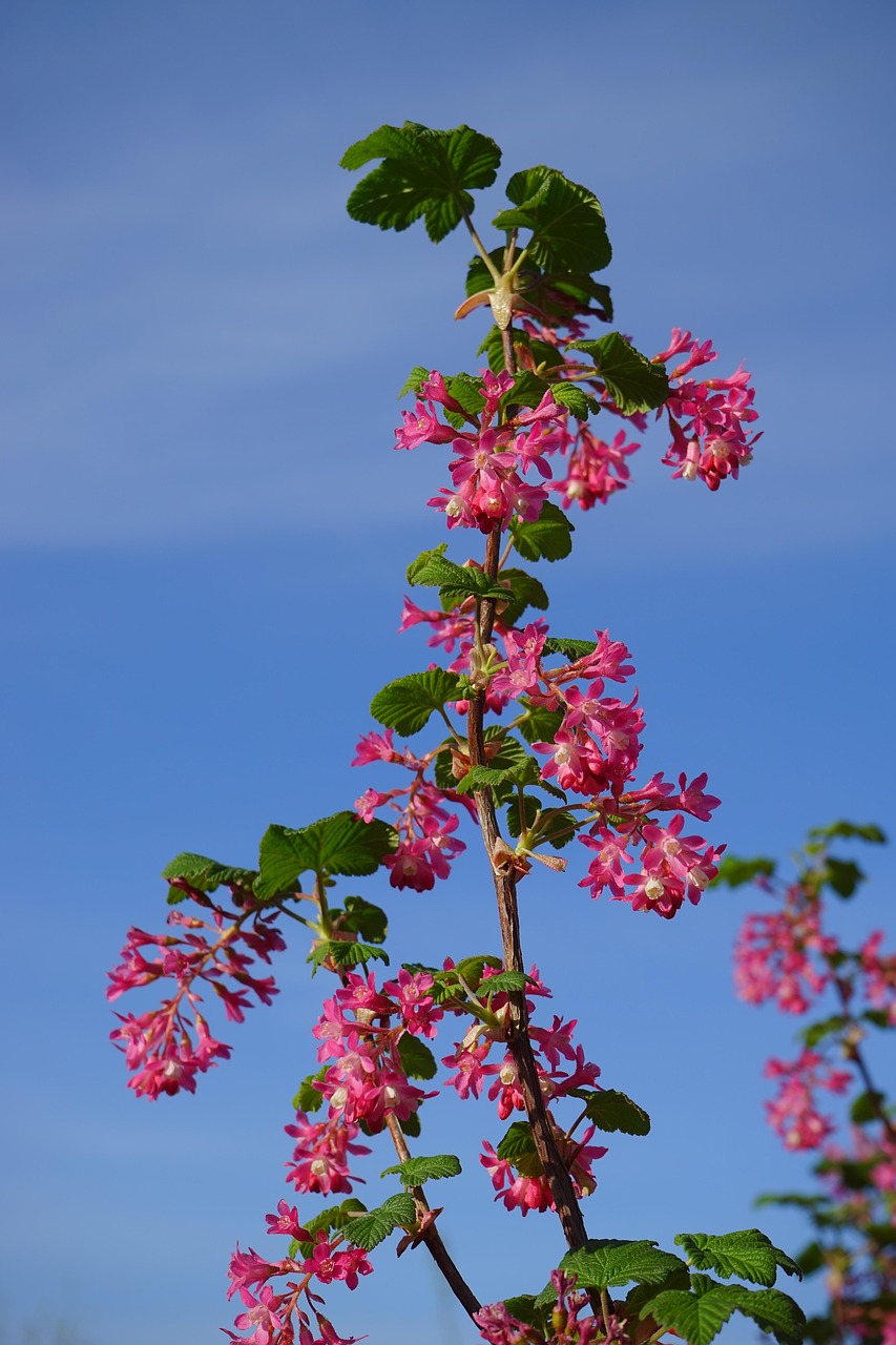 三月最新女体魅力绽放时刻
