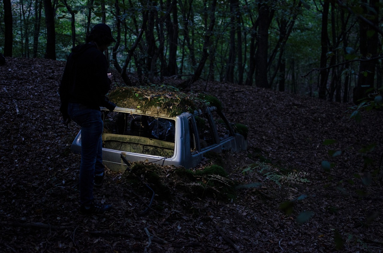 三月电影之夜,不羁夜的光影魅力