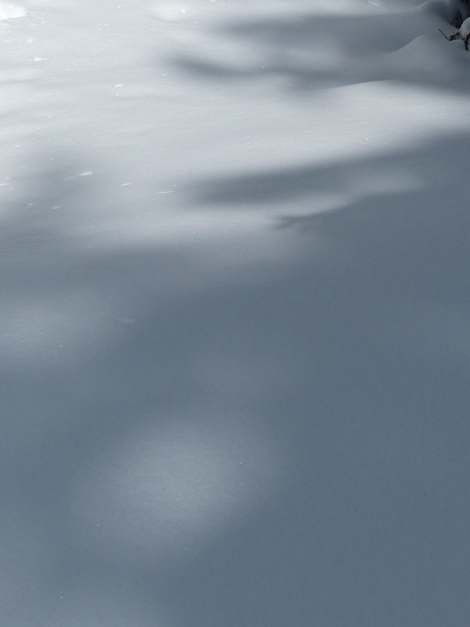 2025年舟山台风最新动态,地区受台风影响情况及今日天气预报