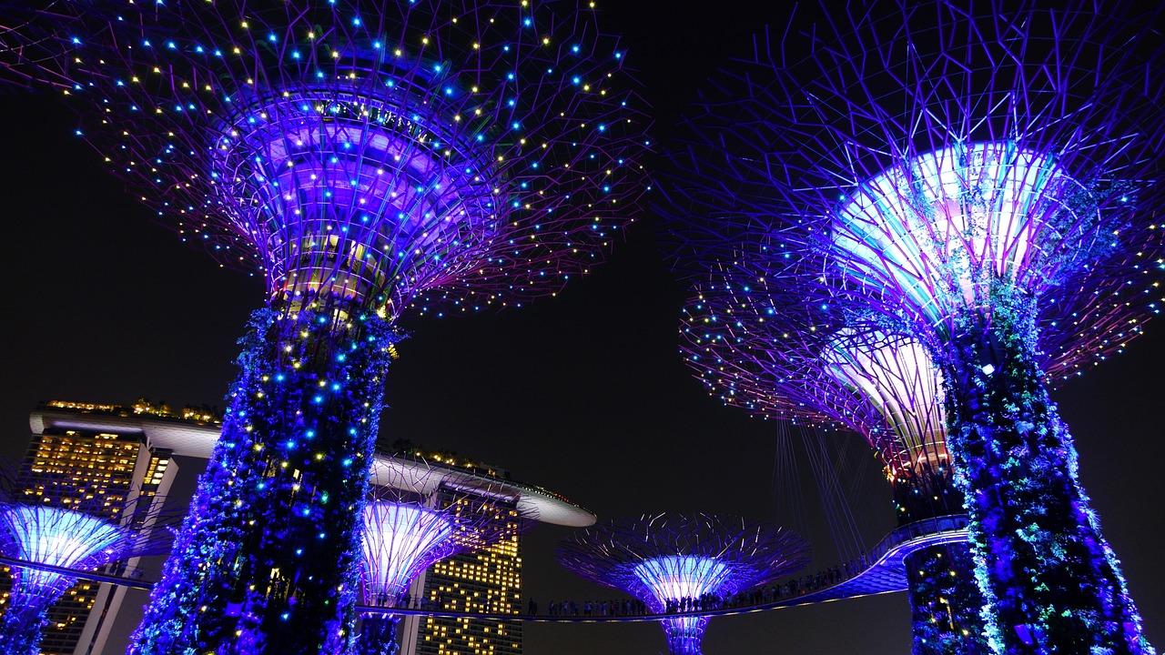 2025年电影巨献，华丽外出展望未来的华丽之旅