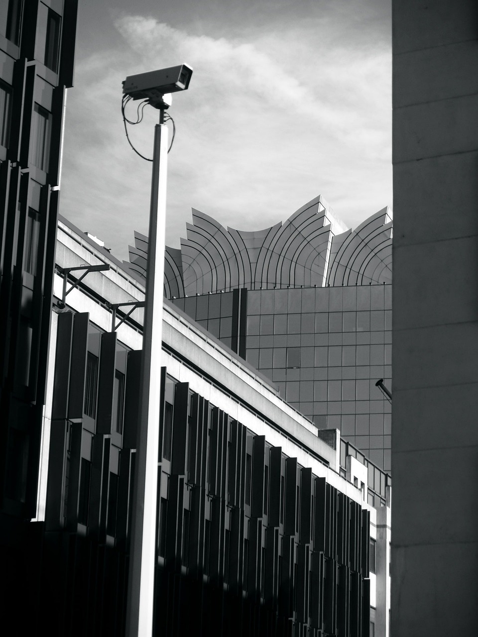 太和县三堂镇四月最新动态,田野新篇章