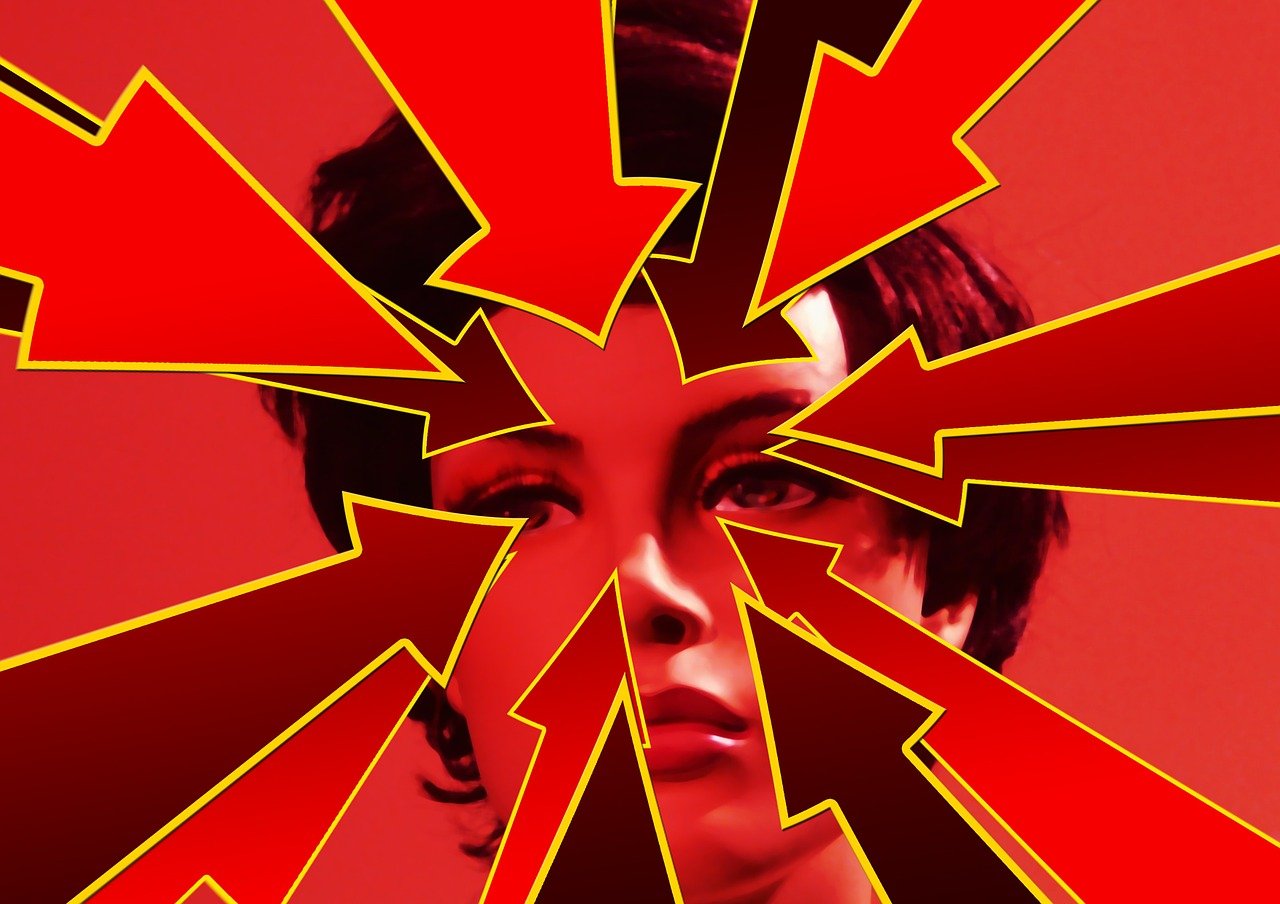 四月林向红最新动态,生机绽放与无限可能