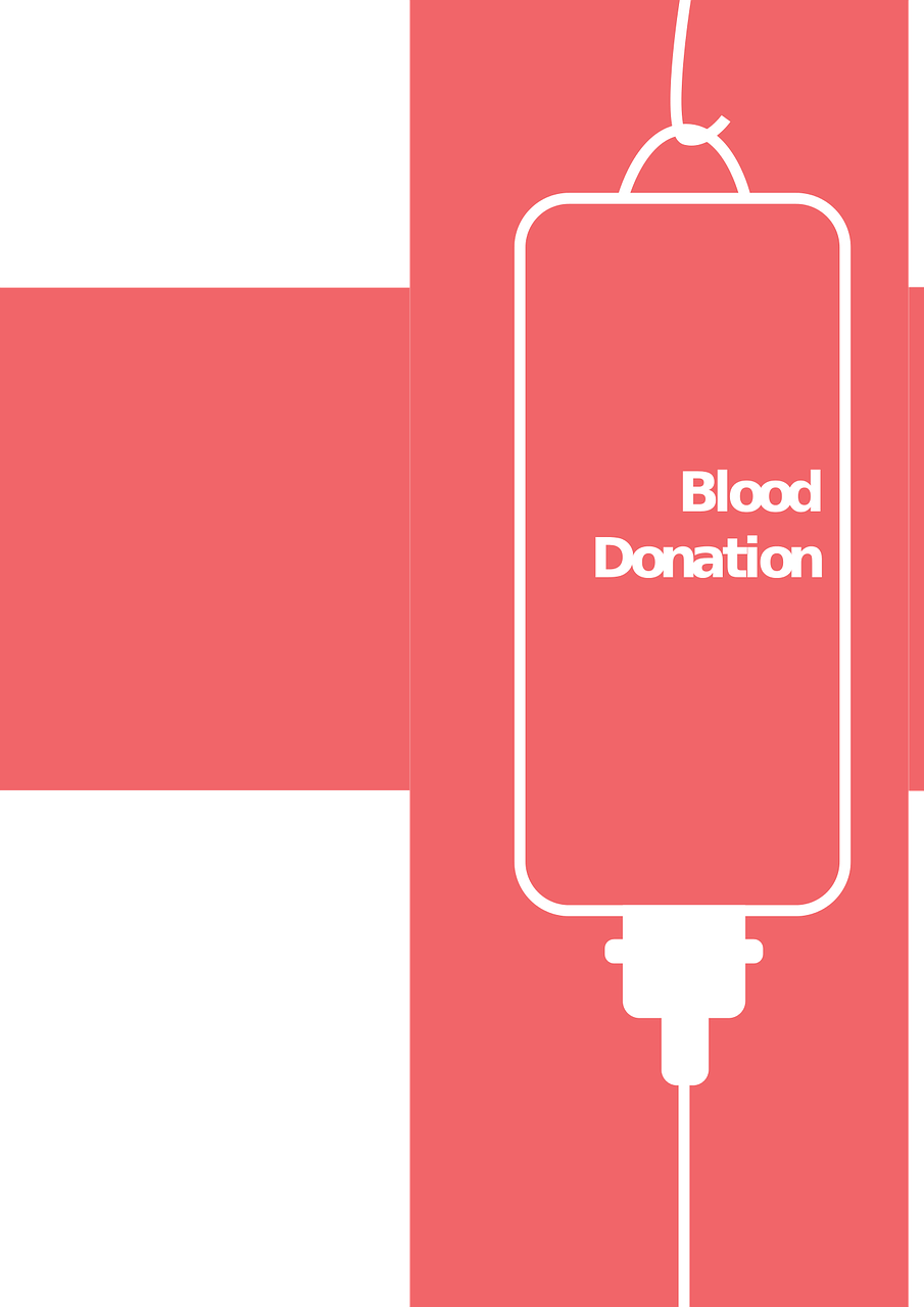 上海港股价四月最新动态,聚焦市场走势