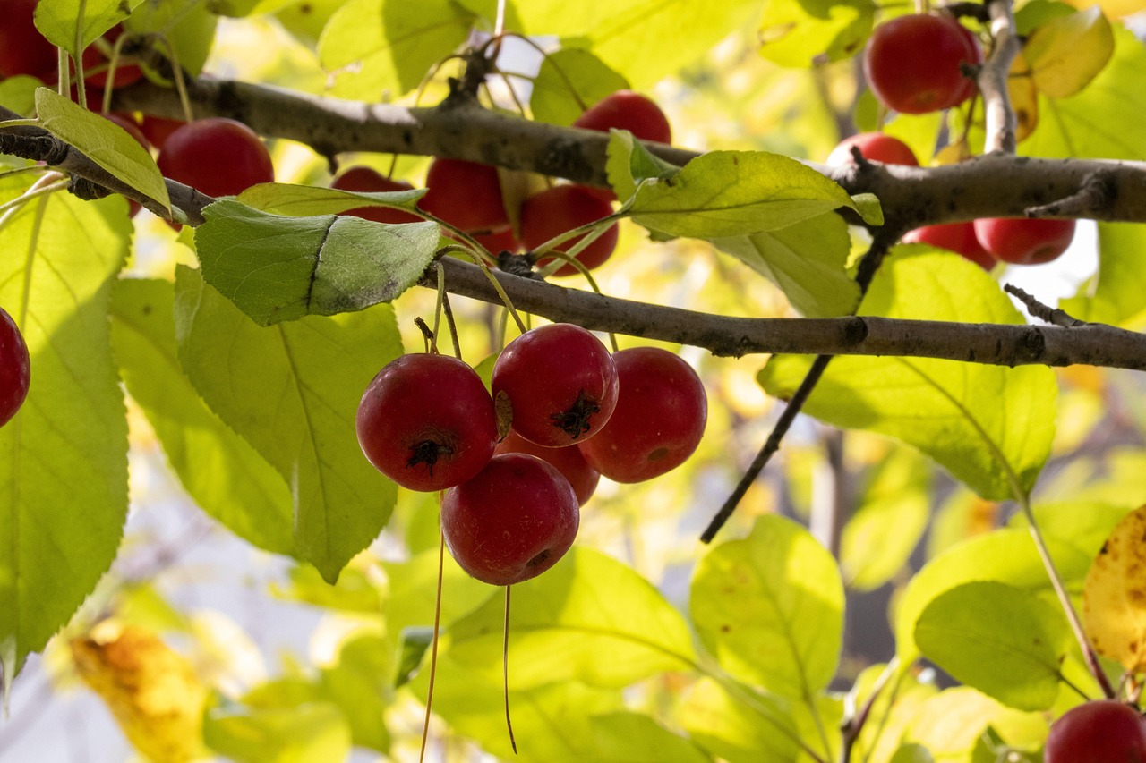 四月新篇章,福建三明医改动态