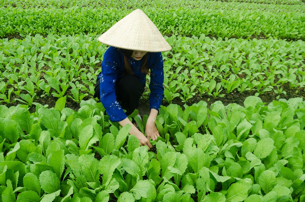 薄暮知秋 第3页