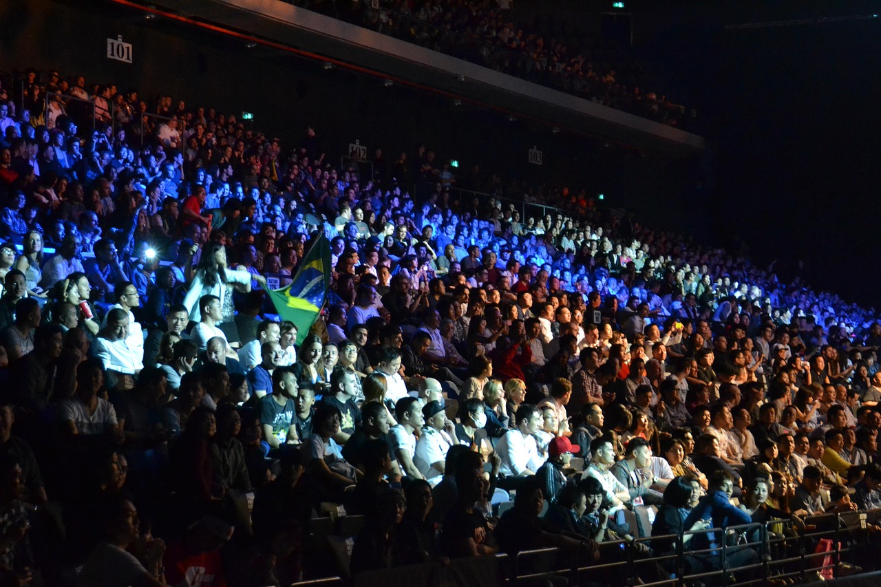 五月星光璀璨，卢洪哲最新综艺资讯全览