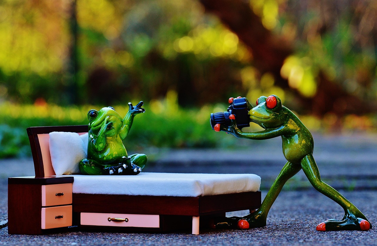 五月动漫盛宴,蚂蚁与动漫图片的奇妙世界