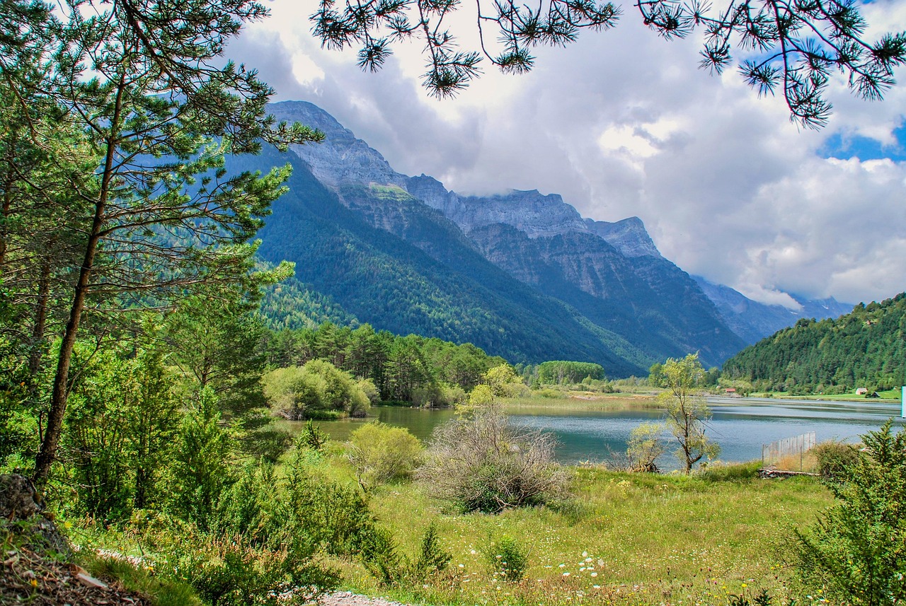 保定五月限号政策更新动态