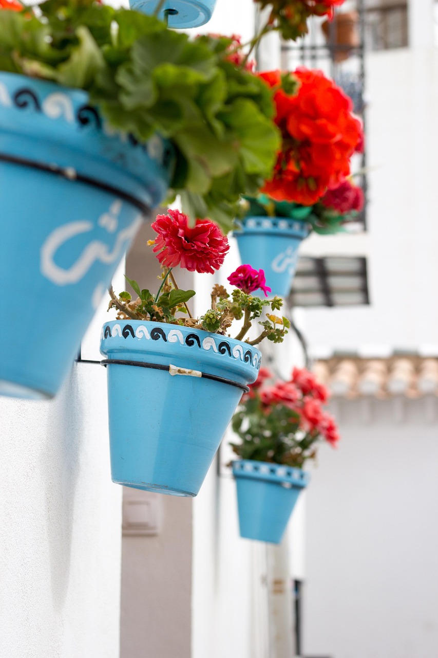 五月西安汉长安城最新动态揭秘