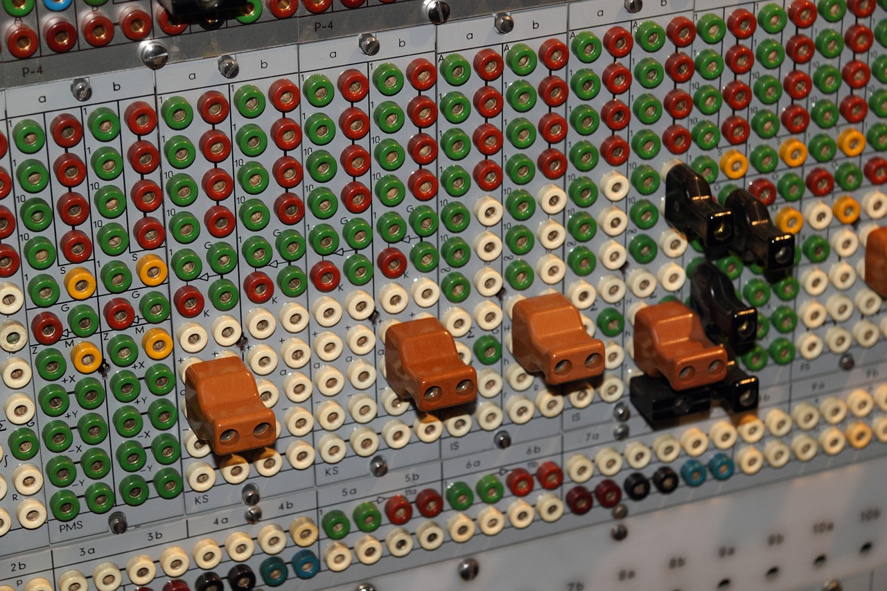 五月猪仔市场行情解析与趋势预测