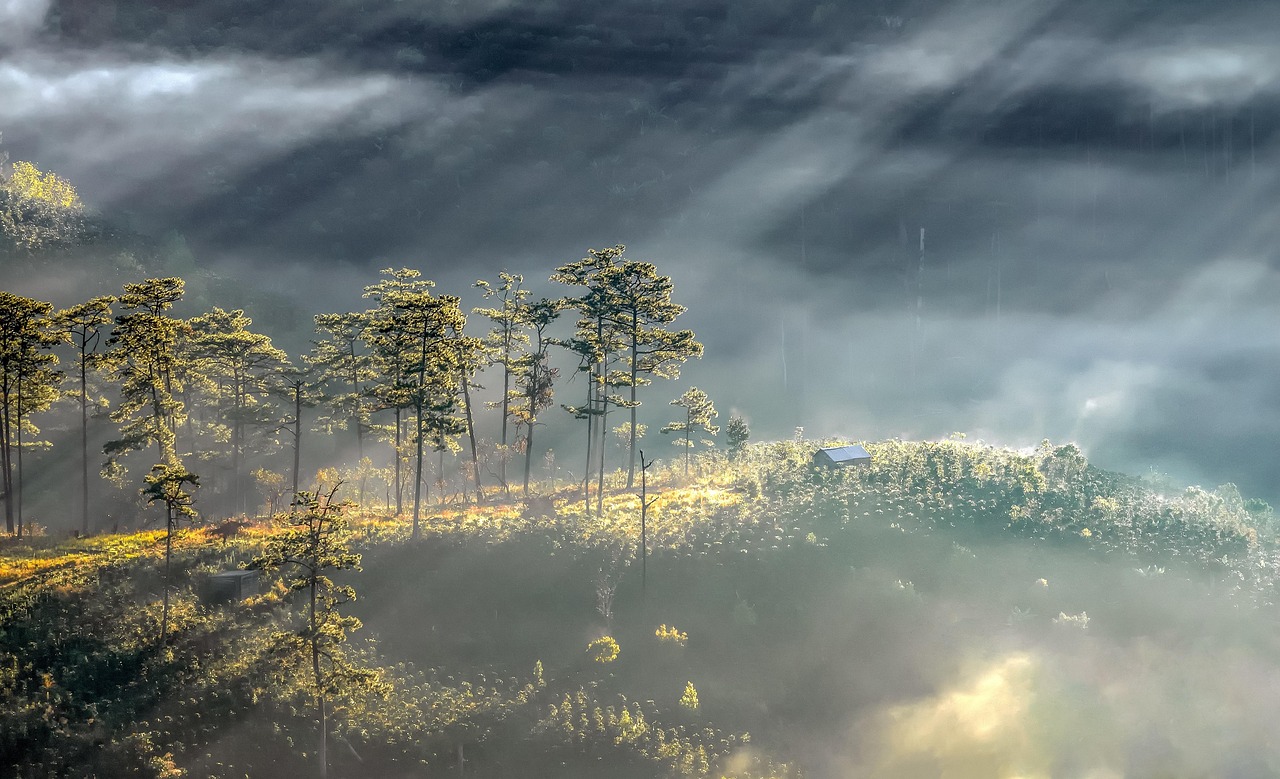 五月三生三世电影的奇幻之旅